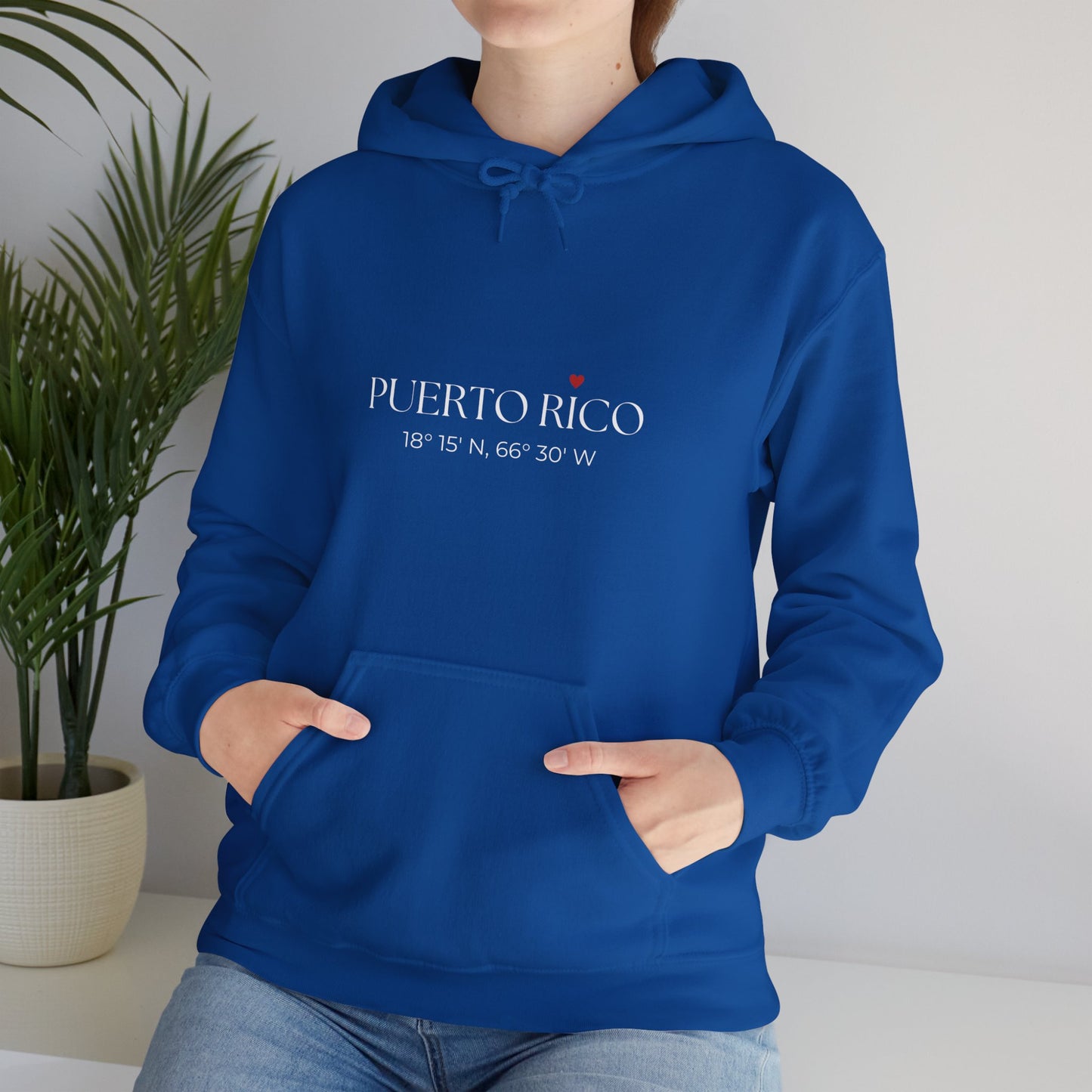 PUERTO RICO Unisex Hooded Sweatshirt