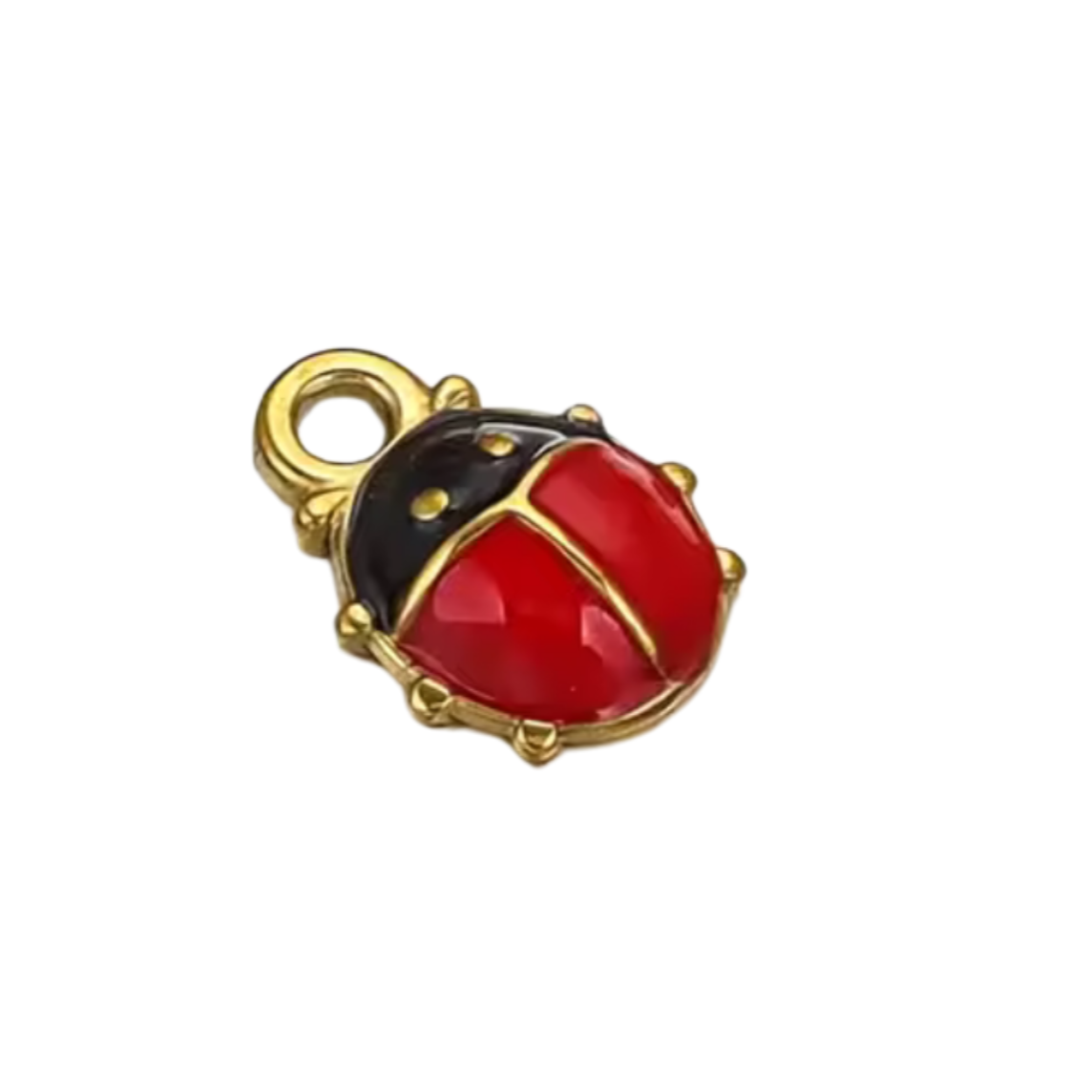 LADYBUG Charm
