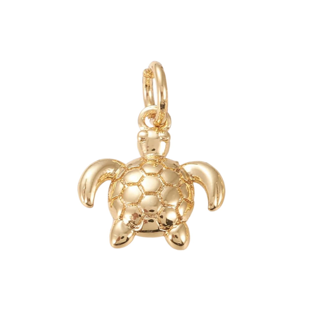 TURTLE Charm