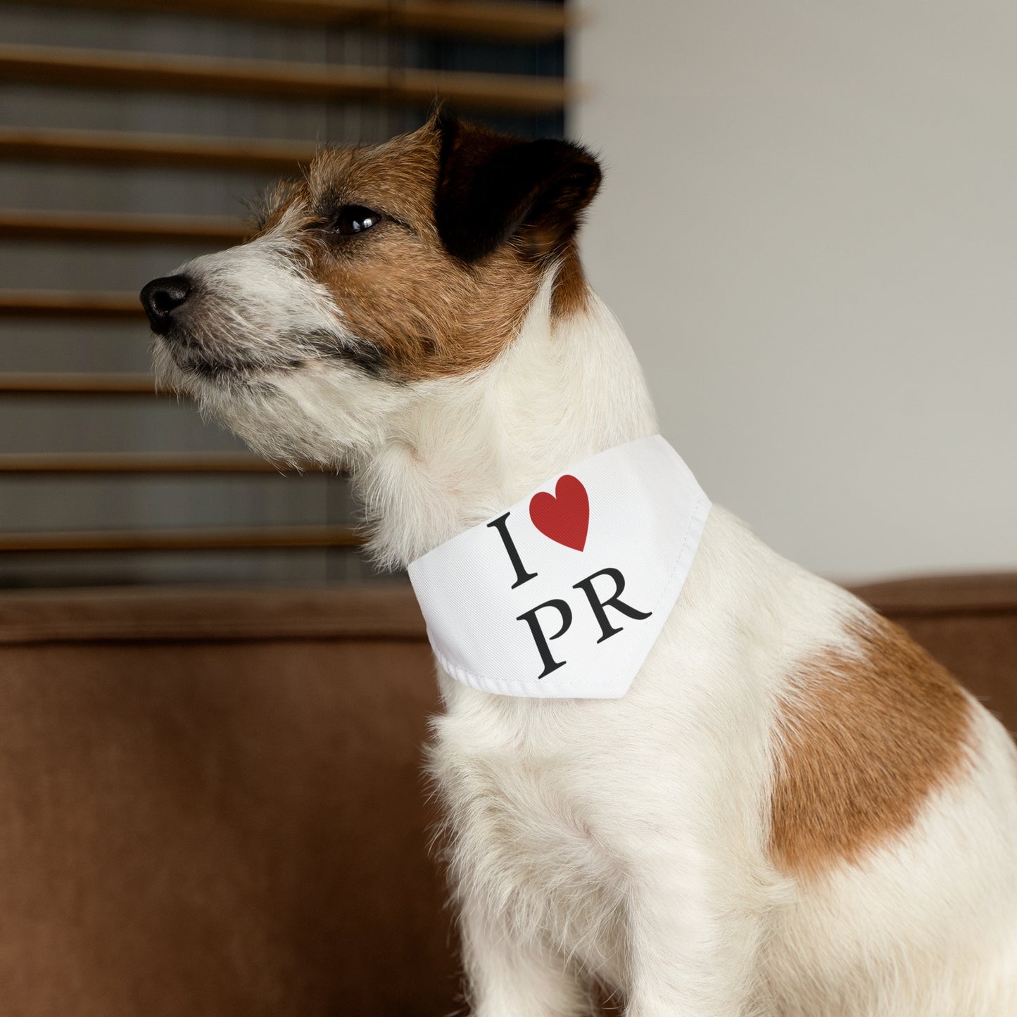 PUERTO RICO Pet Bandana Collar