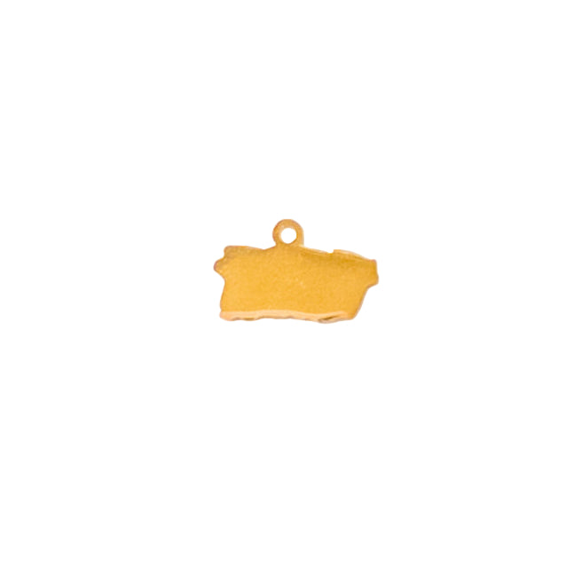 PR MINI MAP Charm