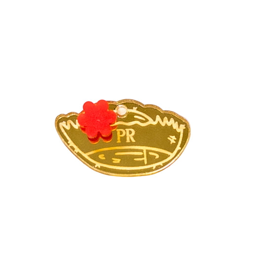 PAVA Charm