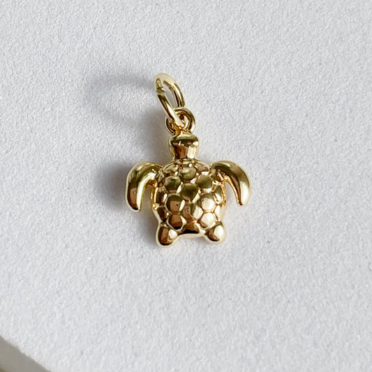 TURTLE Charm